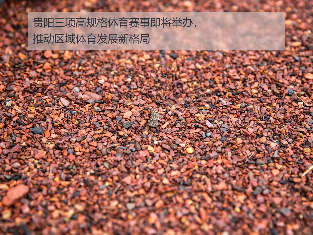 贵阳三项高规格体育赛事即将举办,推动区域体育发展新格局